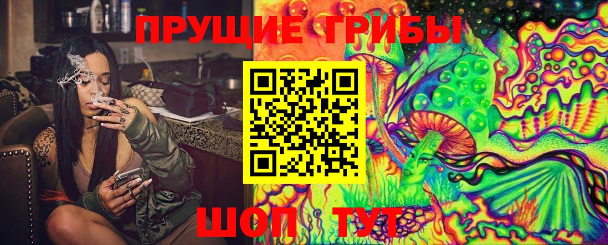 Галлюциногенные грибы GOLDEN TEACHER Минеральные Воды